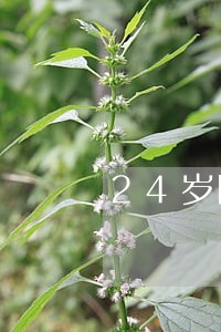 24岁网贷逾期怎么办 24岁网贷逾期怎么办
