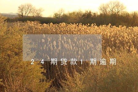 24期贷款1期逾期 24期贷款1期逾期
