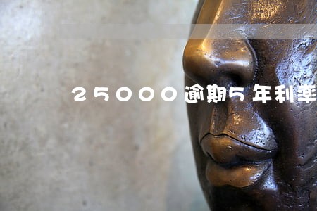 25000逾期5年利率是多少 25000逾期5年利率是多少