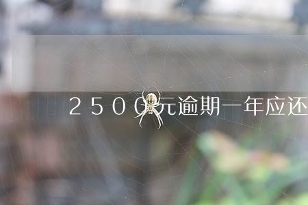 2500元逾期一年应还多少 2500元逾期一年应还多少