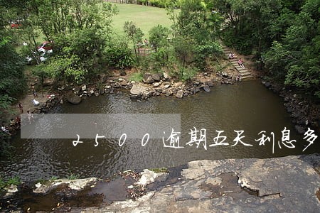 2500逾期五天利息多少 2500逾期五天利息多少