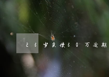 25岁负债50万逾期了怎么办 25岁负债50万逾期了怎么办