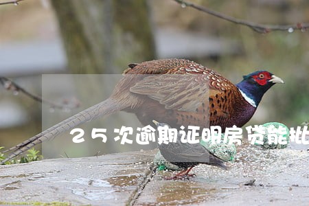 25次逾期证明房贷能批吗 25次逾期证明房贷能批吗