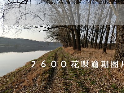 2600花呗逾期图片 2600花呗逾期图片