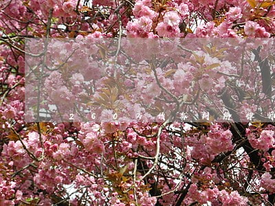 260万债务纠纷律师费用 260万债务纠纷律师费用