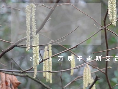 268万房子逾期交违约金 268万房子逾期交违约金