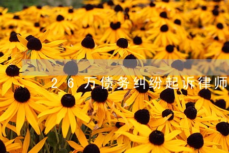 26万债务纠纷起诉律师费多少 26万债务纠纷起诉律师费多少