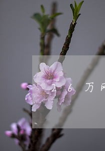26万网贷逾期后果 26万网贷逾期后果