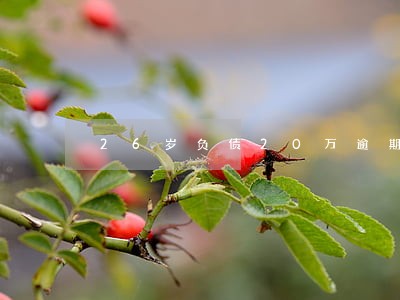 26岁负债20万逾期 26岁负债20万逾期