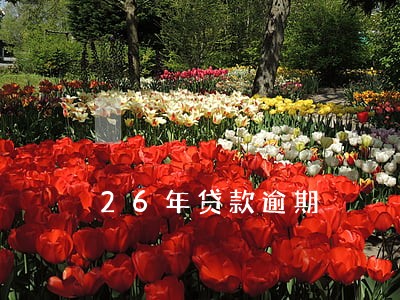 26年贷款逾期 26年贷款逾期