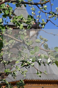 278条违法记录 278条违法记录