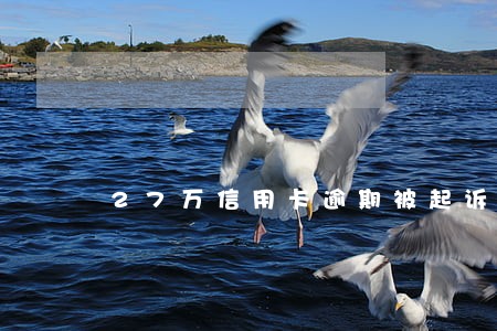 27万信用卡逾期被起诉卖房产 27万信用卡逾期被起诉卖房产