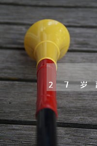 27岁离婚的女人会做饭吗 27岁离婚的女人会做饭吗