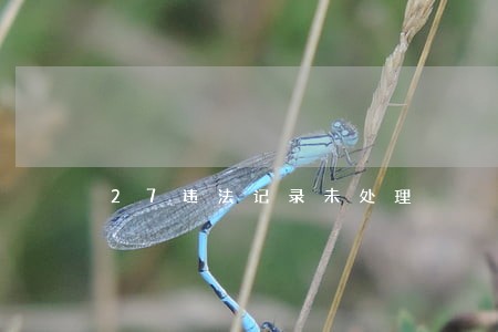 27违法记录未处理 27违法记录未处理