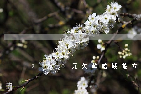 2800元欠款逾期能立案吗 2800元欠款逾期能立案吗