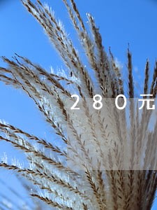 280元金条逾期一天 280元金条逾期一天