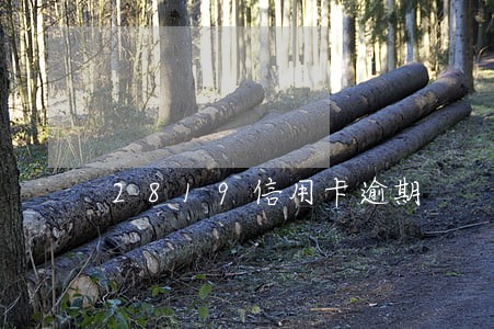 2819信用卡逾期 2819信用卡逾期