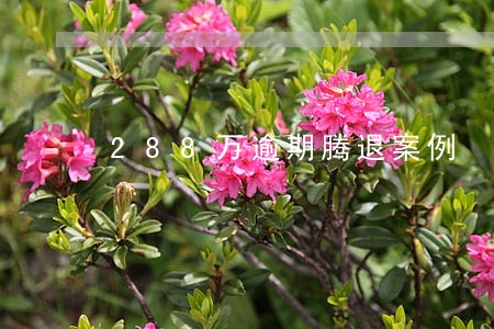 288万逾期腾退案例 288万逾期腾退案例