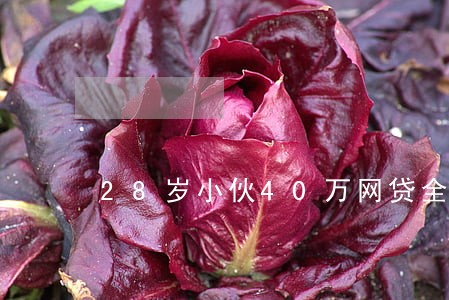 28岁小伙40万网贷全面逾期 28岁小伙40万网贷全面逾期