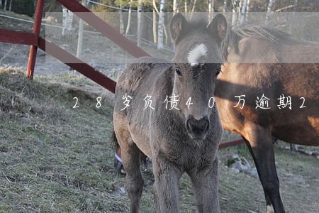 28岁负债40万逾期2个月后果 28岁负债40万逾期2个月后果