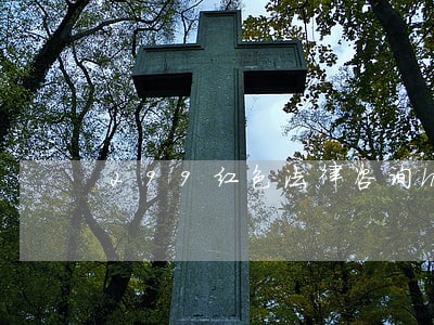 299红色法律咨询html模板