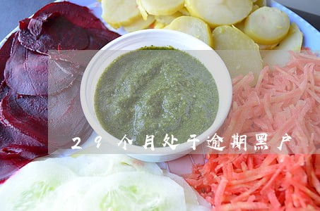 29个月处于逾期黑户 29个月处于逾期黑户