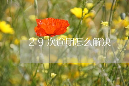 29次逾期怎么解决 29次逾期怎么解决
