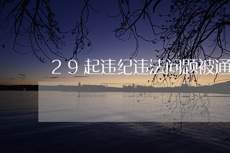 29起违纪违法问题被通报 29起违纪违法问题被通报