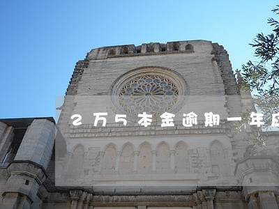 2万5本金逾期一年应该还多少