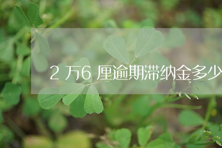 2万6厘逾期滞纳金多少