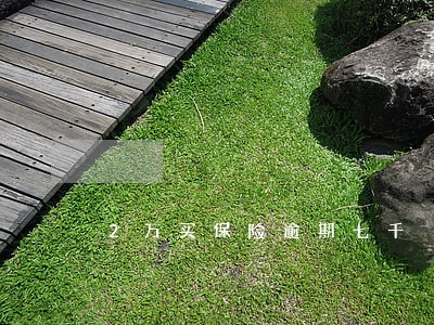 2万买保险逾期七千 2万买保险逾期七千
