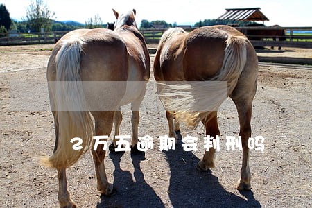 2万五逾期会判刑吗 2万五逾期会判刑吗
