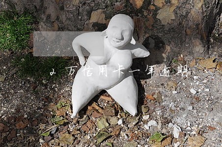 2万信用卡一年逾期 2万信用卡一年逾期