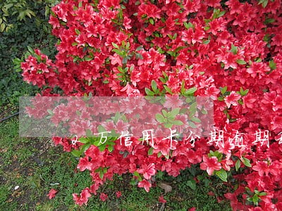 2万信用卡分期逾期利息