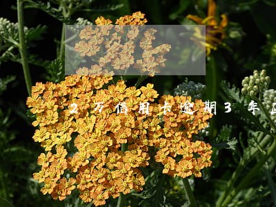 2万信用卡逾期3年应还多少钱