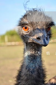 2万信用卡逾期一年多钱 2万信用卡逾期一年多钱