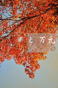 2万元债务律师费多少 2万元债务律师费多少