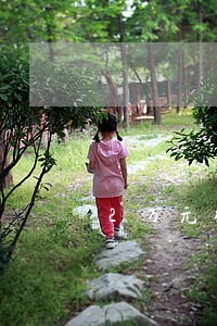 2万元微博贷款逾期