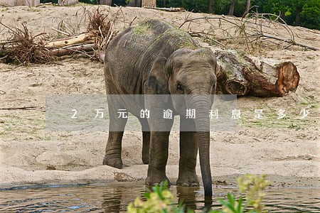 2万元的逾期利息是多少
