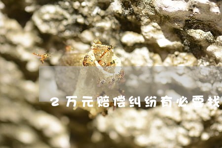 2万元赔偿纠纷有必要找律师吗 2万元赔偿纠纷有必要找律师吗