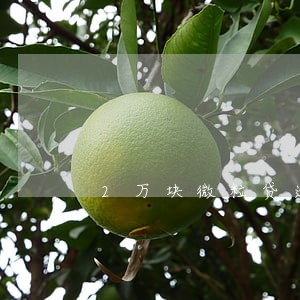 2万块微粒贷逾期1年多 2万块微粒贷逾期1年多