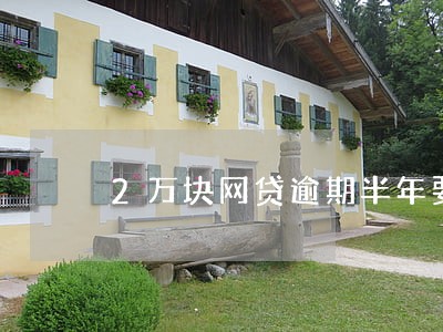 2万块网贷逾期半年要罚多少利息 2万块网贷逾期半年要罚多少利息