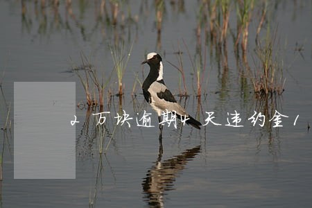 2万块逾期4天违约金1000 2万块逾期4天违约金1000