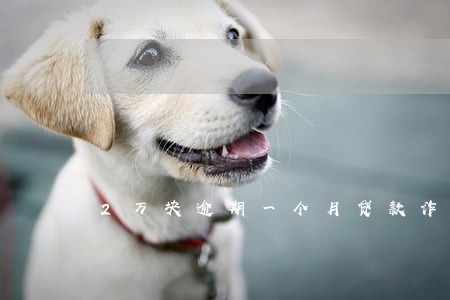 2万块逾期一个月贷款诈骗罪 2万块逾期一个月贷款诈骗罪