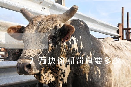2万块逾期罚息要多少 2万块逾期罚息要多少