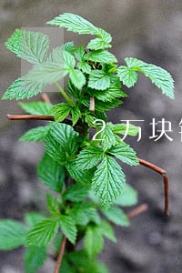 2万块钱逾期一年利息