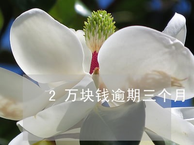 2万块钱逾期三个月 2万块钱逾期三个月