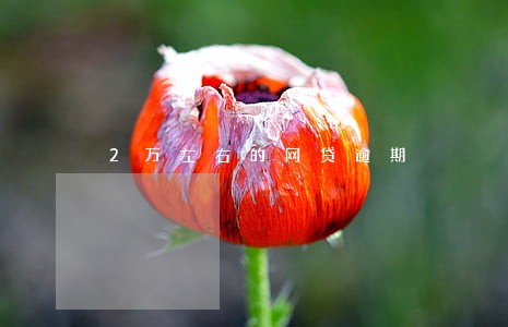 2万左右的网贷逾期 2万左右的网贷逾期