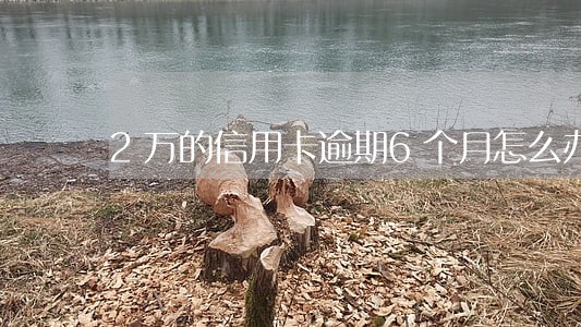 2万的信用卡逾期6个月怎么办