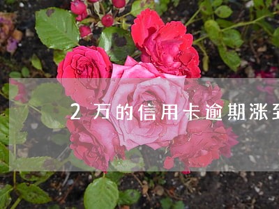 2万的信用卡逾期涨到几十万